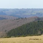 Apartmán Modernes Mit Parkplatz In Der Eifel
