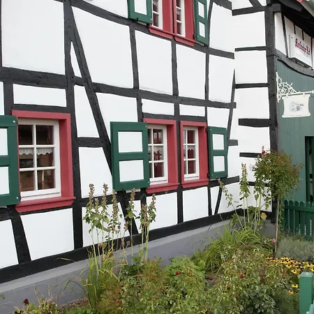 아파트 Modernes Apartment Mit Parkplatz In Der Eifel