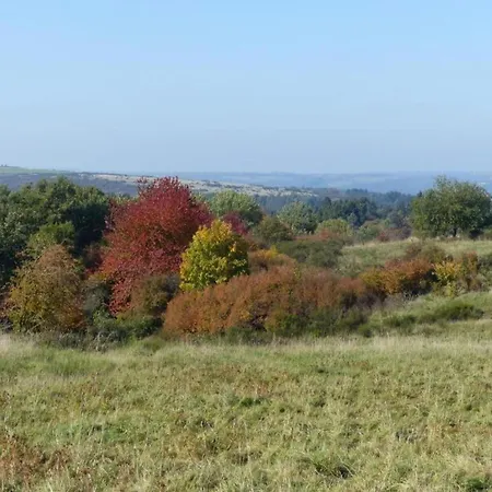 아파트 Modernes Apartment Mit Parkplatz In Der Eifel 슈라이덴