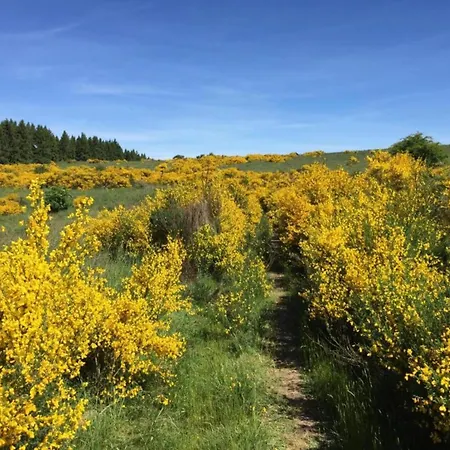 Modernes Apartment Mit Parkplatz In Der Eifel 슈라이덴