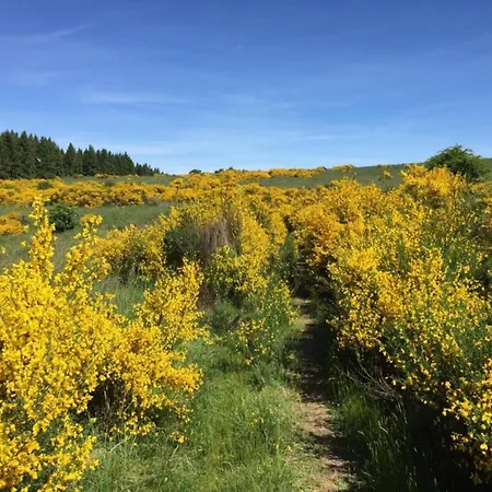Modernes Apartment Mit Parkplatz In Der Eifel 아파트 *