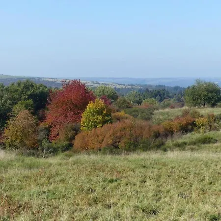 Modernes Apartment Mit Parkplatz In Der Eifel