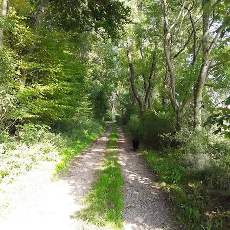 Modernes Apartment Mit Parkplatz In Der Eifel 아파트
