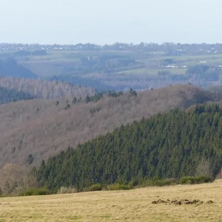 아파트 Modernes Apartment Mit Parkplatz In Der Eifel