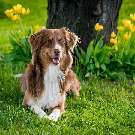 Modernes Apartment Mit Parkplatz In Der Eifel *