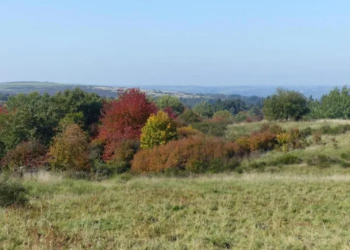 Modernes Apartment Mit Parkplatz In Der Eifel