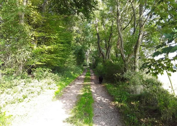 Modernes Apartment Mit Parkplatz In Der Eifel Апартаменты