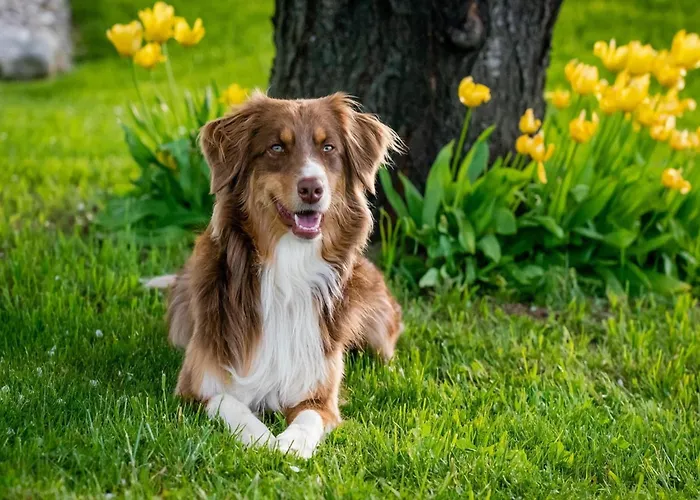 Modernes Apartment Mit Parkplatz In Der Eifel Апартаменты Шляйден